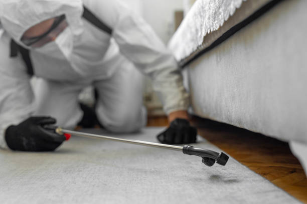 Professional Pest Control technician working in Brookhaven, MS