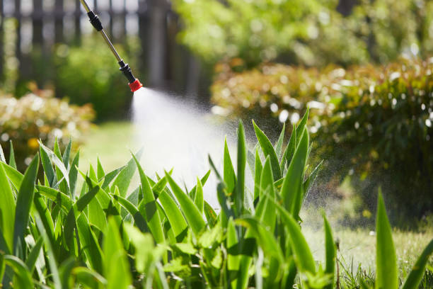 24/7 Emergency Pest Control experts in Brookhaven, MS
