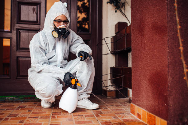 Reliable Pest Control contractor in Brookhaven, MS by Nex Pest Control