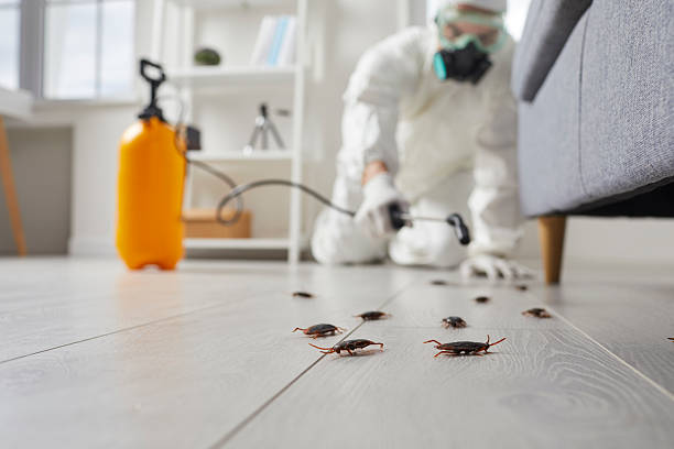 Affordable Pest Control solutions in Brookhaven, MS